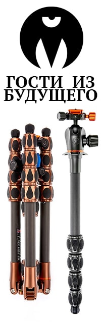 3LT PROFESSIONAL FUTURE